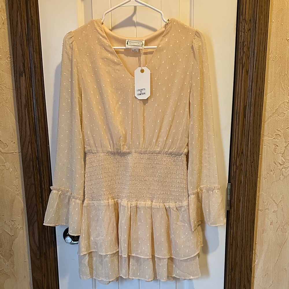 Beautiful Shimmery Top